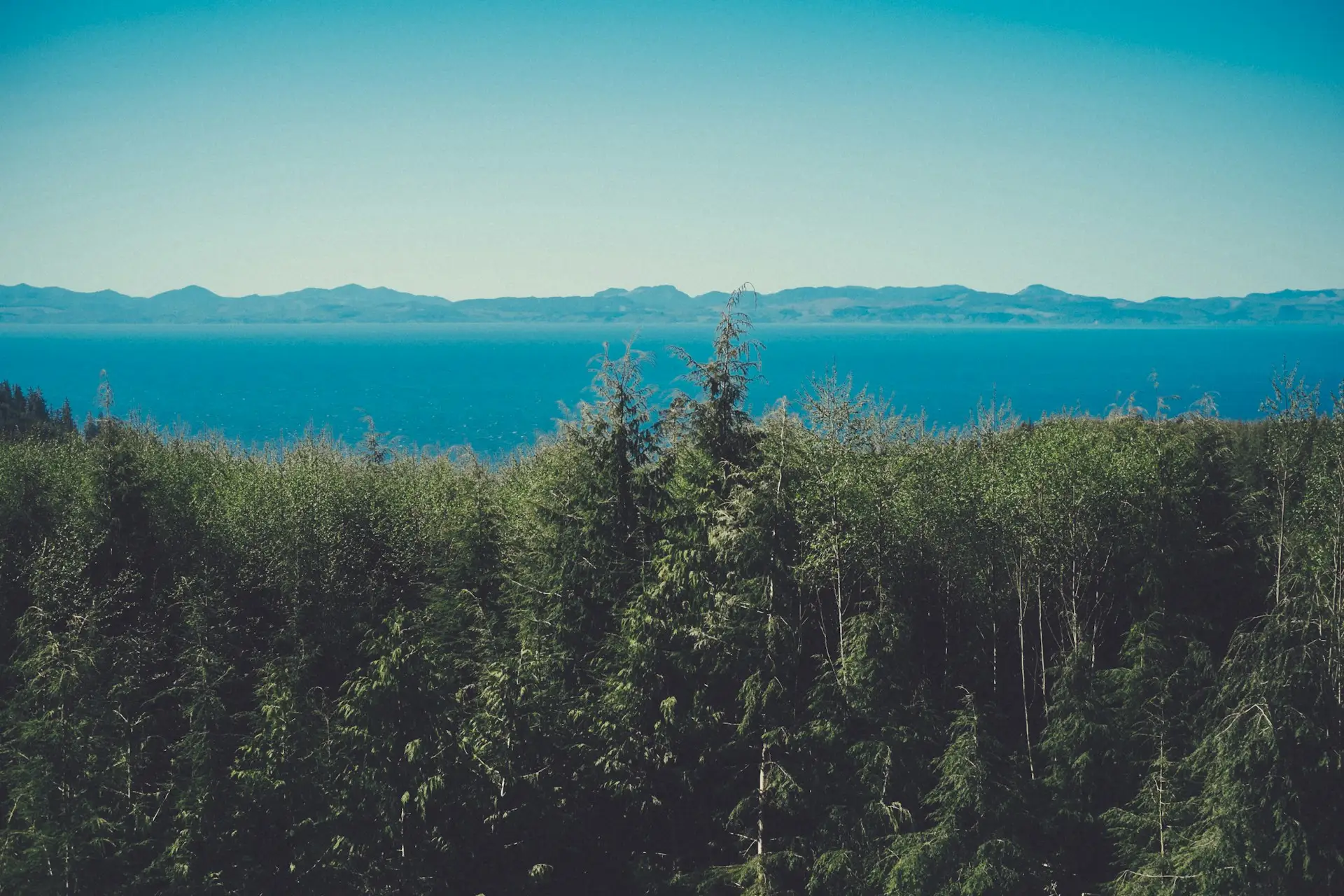 Bien être dans la nature